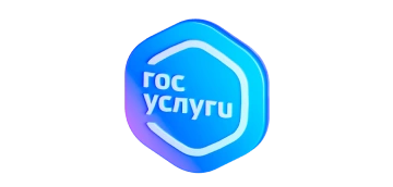 С Госуслугами быстрее